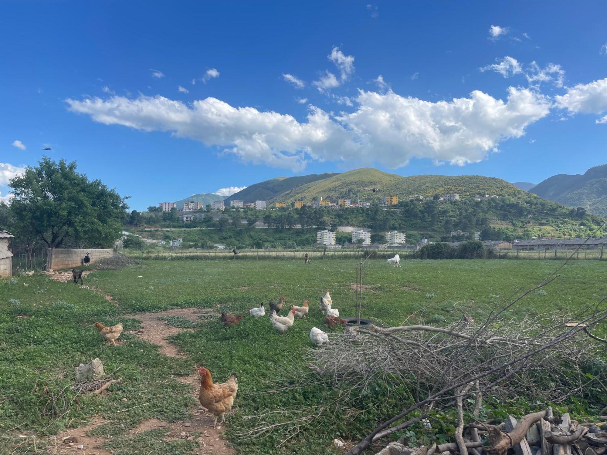 Pensión Panoramic Vew Xhanari Tepelene
